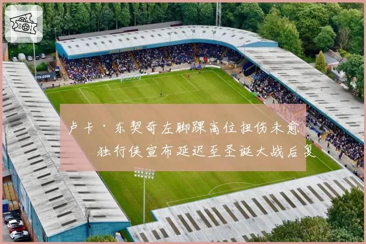 卢卡·东契奇左脚踝高位扭伤未愈，独行侠宣布延迟至圣诞大战后复出