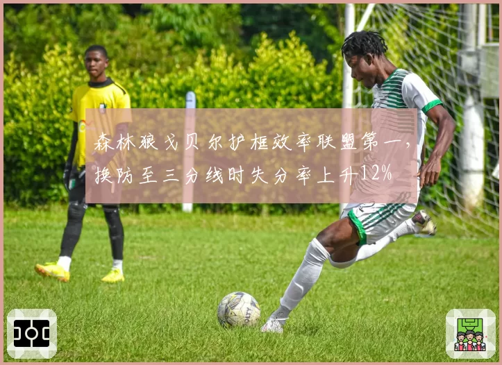 森林狼戈贝尔护框效率联盟第一,换防至三分线时失分率上升12%